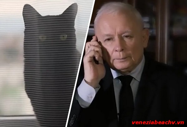 Spot Kaczyńskiego Mem „Telefon do Jarek” i reakcje internautów”