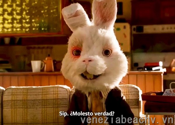  Video del Conejo Que Se Hizo Viral: Denuncia Emotiva sobre Maltrato Animal