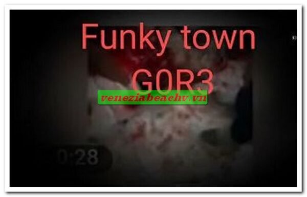 Conclusion about funky town official video