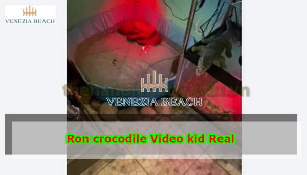 Ron crocodile Video kid Real