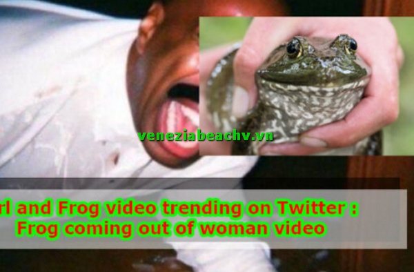 The frog video Twitter: Controversial phenomenon that causes confusion