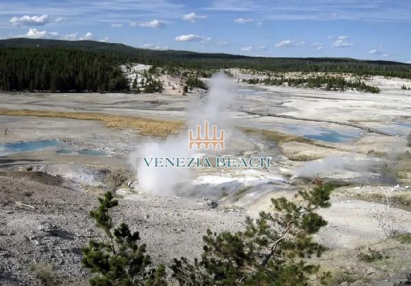 The Lure of Yellowstone thermal features Colin Scott
