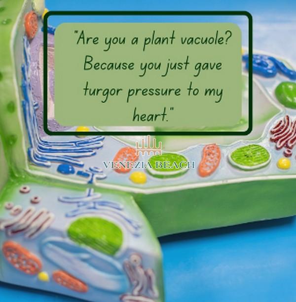 Central Vacuole Pick Up Lines