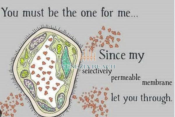 Central Vacuole Pick Up Lines and how they can make flirting unique
