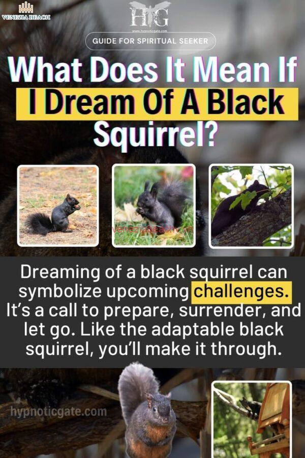 Scientific Explanations for Black Squirrel Coloration