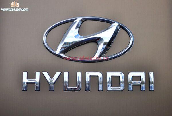 Understanding the Hyundai oil consumption lawsuit