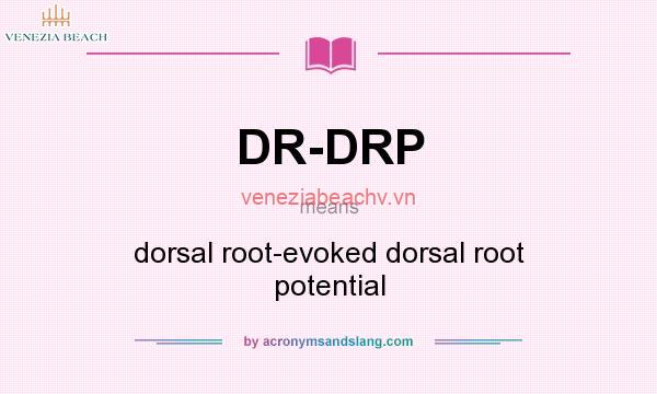 What Does DRP Mean in Text? Understanding Common Uses | Veneziabeachv.vn