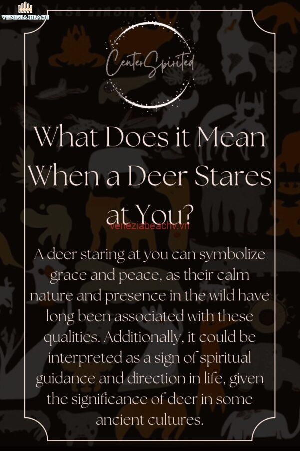 What Does It Mean When a Deer Stares at You? | Understand Deer Behavior