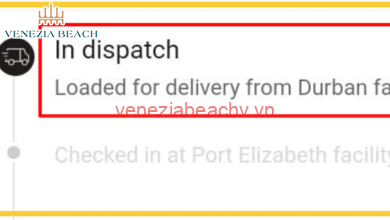 what does in dispatch mean shein